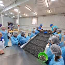 изображение viber 2024 12 05 21 59 48 836