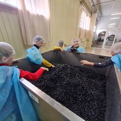 изображение viber 2024 12 05 22 24 27 430