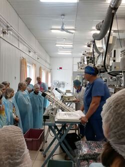 изображение viber 2024 12 05 22 25 31 145