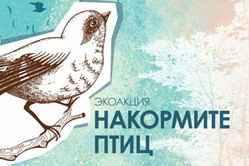 Безымянный 3