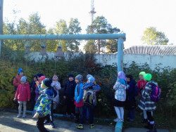 Рождество Богородицы